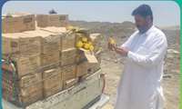 جمع آوری 3000kg مواد غذایی تاریخ مصرف گذشته و معدوم سازی در محل سایت دفن زباله 
